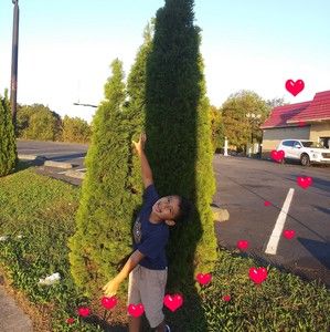 Meet your Posher, Hernandez